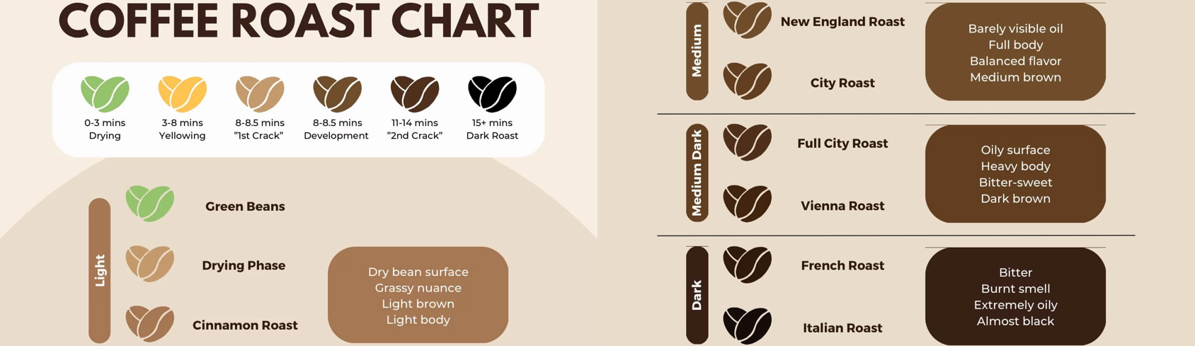 Types of Coffee Roasts