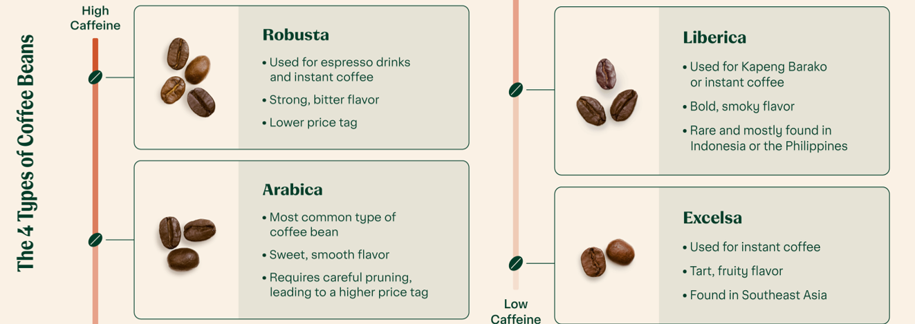 The Four Types of Coffee Beans