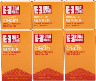 Equal Exchange Organic Ginger w/Lemon, Ginger Root, Lemon, Black Pepper Caffeine-Free Tea (Case Of 6) 120 Bags