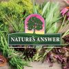 Natures Answer Organic Herbal Chamomile Extract AF Dietary Supplement 2400mg for Unisex (Pack of 1) 1oz Bottle